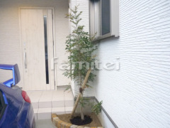 ����ܥ�ĥ꡼ ���ޥȥͥꥳ ���м� ����