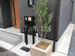 ����ܥ�ĥ꡼ �ҥ��饮 ���м� ����