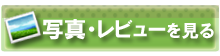 �桼���Хå� �����ͤ������ܹ����󥯥ܥ���