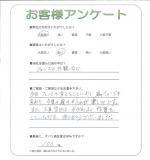 ���ɸ��̳�뷴����Į������