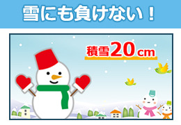 雪にも負けない
