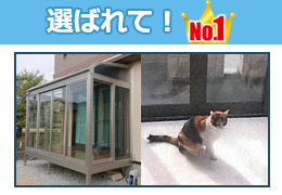 選ばれてNo.1