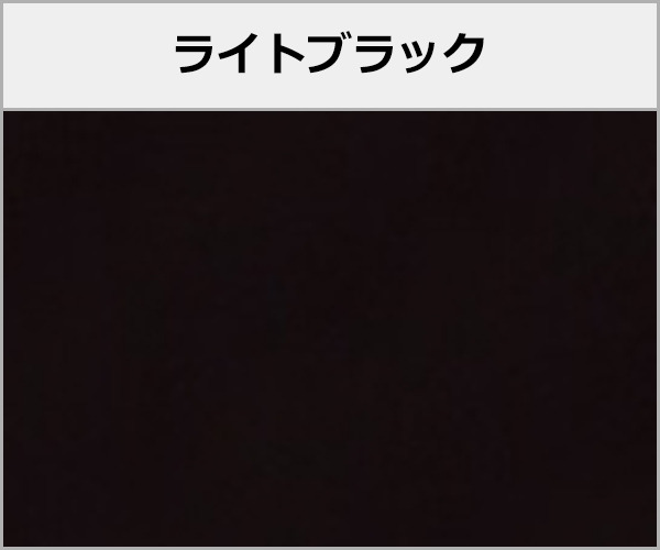 オリジナル レギュラーサンルーム 本体色:ライトブラック