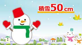 フル木製調 シンプルスタイル テラス(タカショー)には、積雪50cmまでの強度がありますので、突然変わる天候に強く安心です。