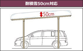 ������50cm�б�