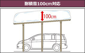 耐積雪100cm