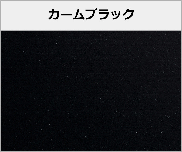 YKKAP サンルーム 木製調 ソラリアF (柱色・屋根フレーム色 以外) アルミ色:カームブラック
