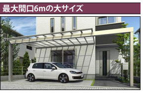 ����ָ�6m���祵����