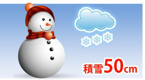 ※積雪が50cmを超える前に雪おろしをしてください。※積雪が50cmを超える積雪地域にお住いの方は、100cm積雪用タイプをお選びください。