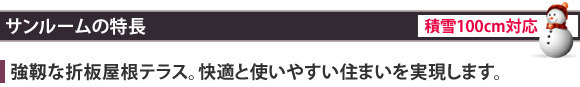 スーパーテラスGTの特長