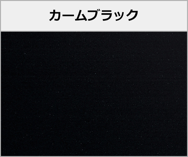 YKKAP サンルーム 目隠しソラリアF 本体色:カームブラック
