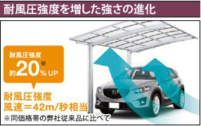 耐風圧強度を増した強さの進化