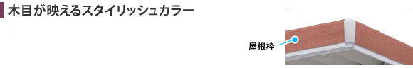���ܤ��Ǥ��륹������å��奫�顼