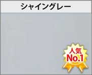 LIXIL ネスカF 本体色:シャイングレー