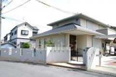 ���۳�������������