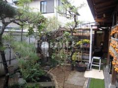 植栽 エゴノキ 落葉樹